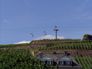 Seilbahn in den Weinbergen