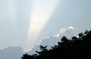 Der Sonnenstrahl