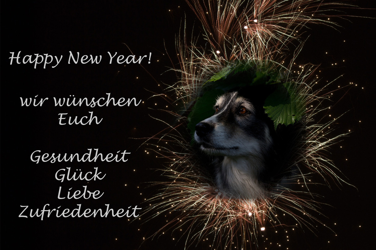 Happy New Year!