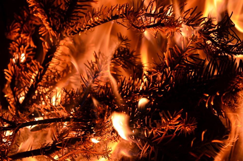 Feuerbestattung meines Christbaumes