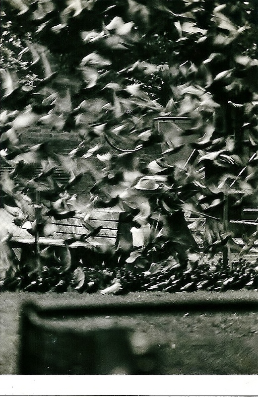 Foto 2 Kaiserpark Wien