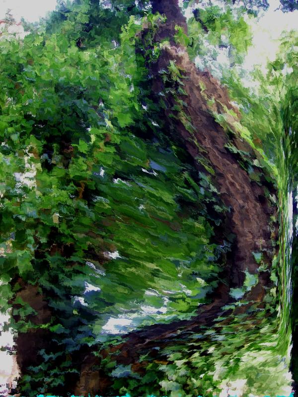 Baum