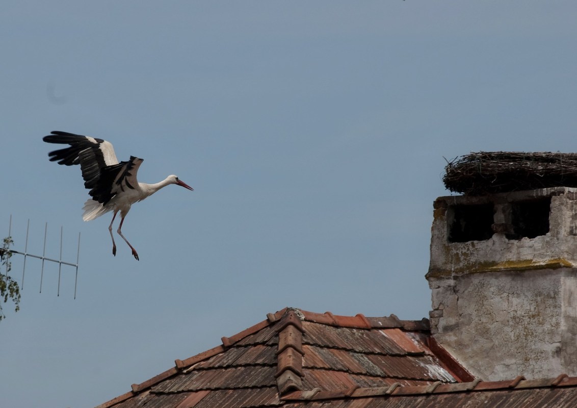 Landeanflug