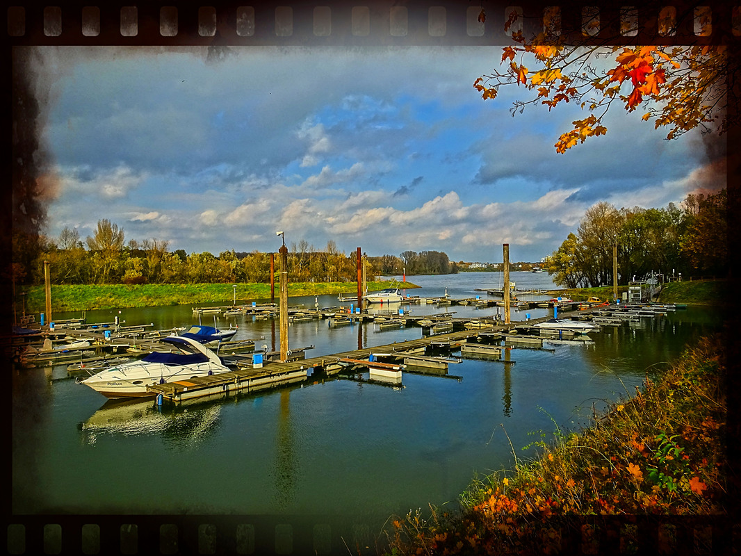 unten am Rheinhafen