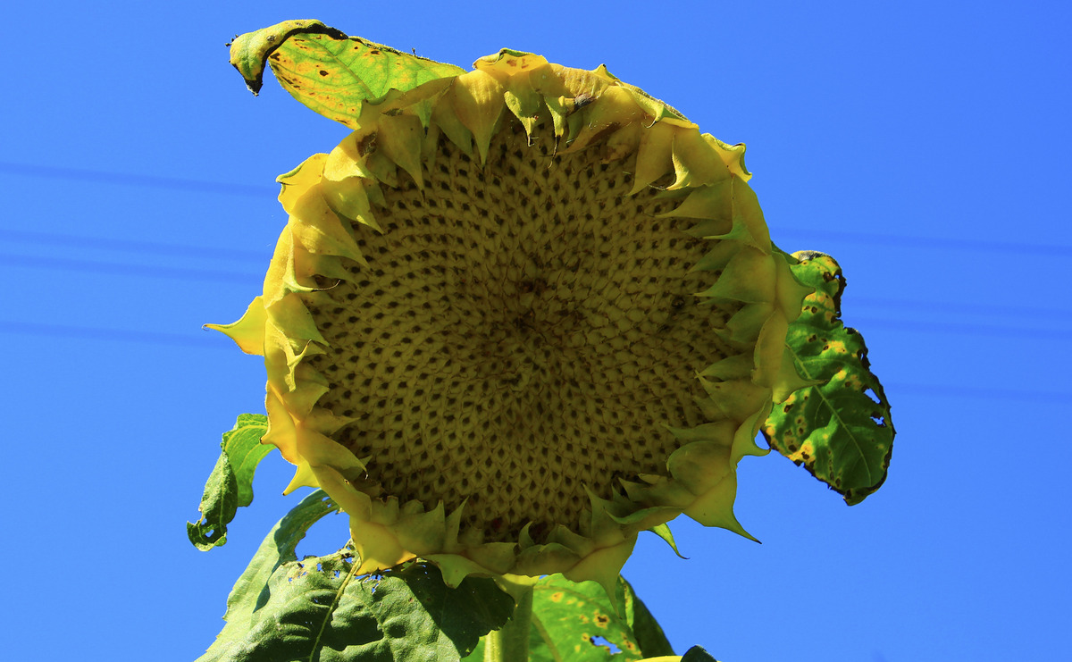 Sommer endgültig vorbei 