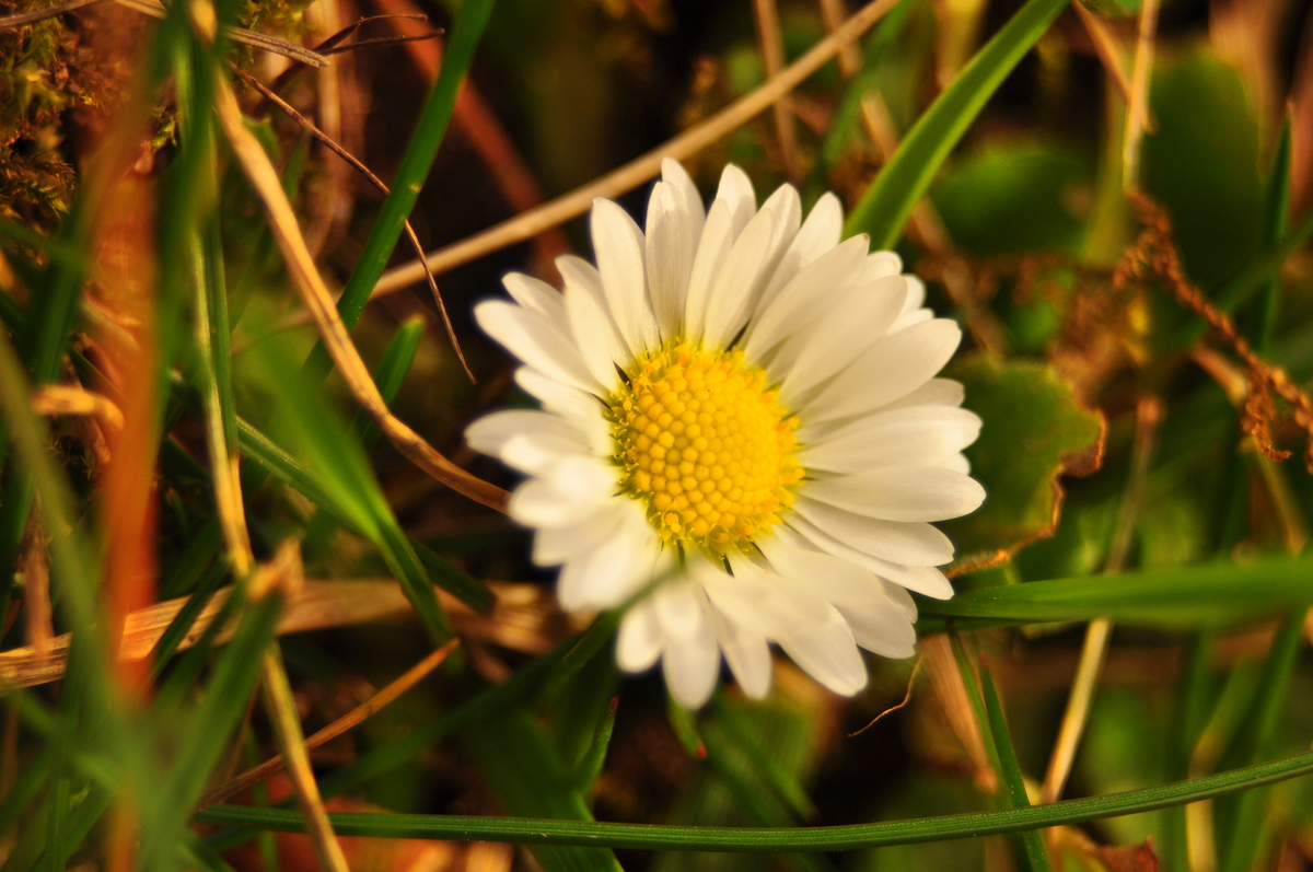 Frühling 2017