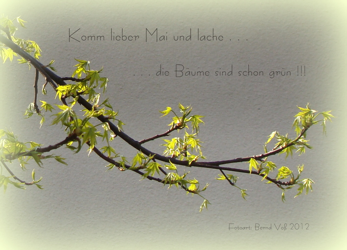 Es grünt an allen Ecken