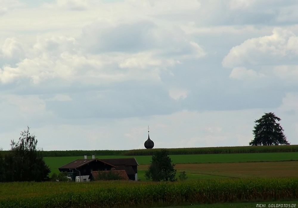 Im Maisfeld wächst ein Kirchturm