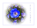 Fotos_Fotocollagen