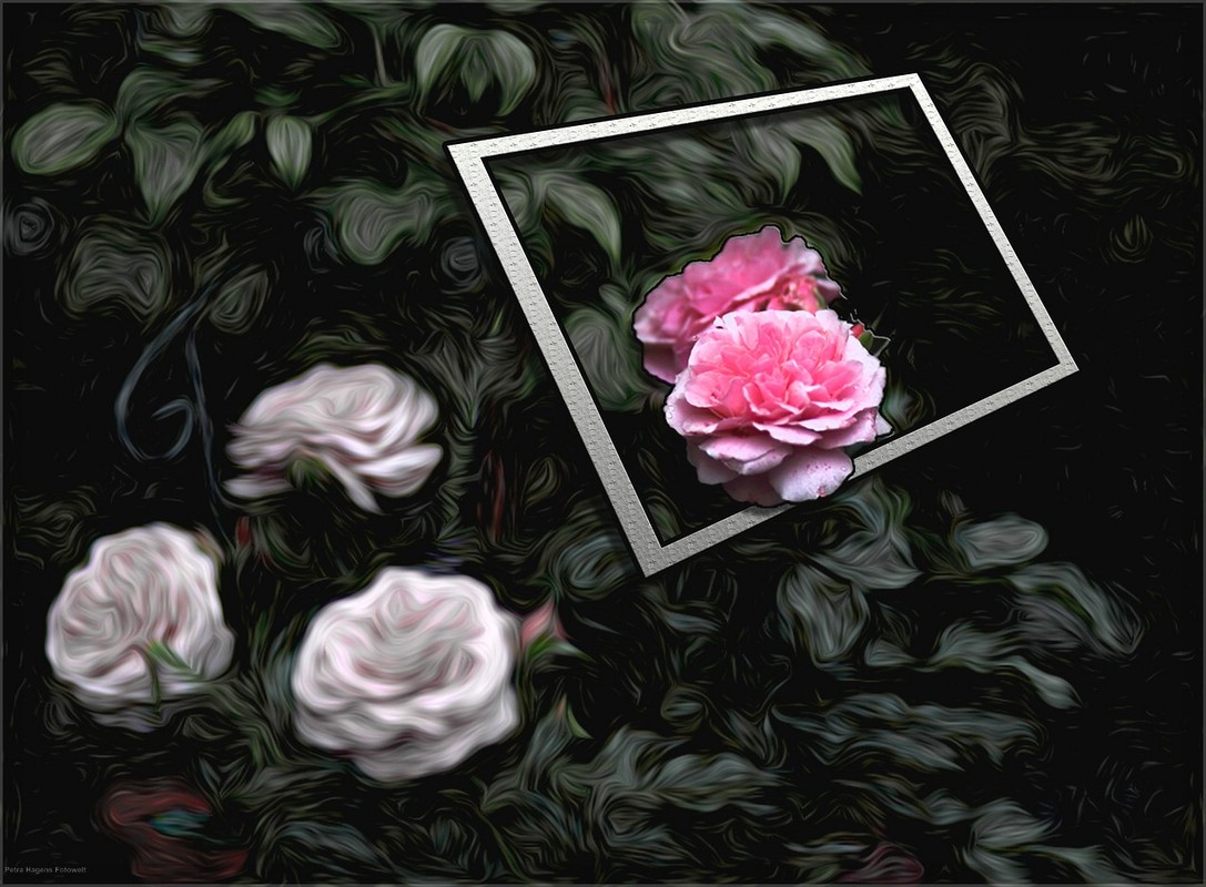 Rosen 