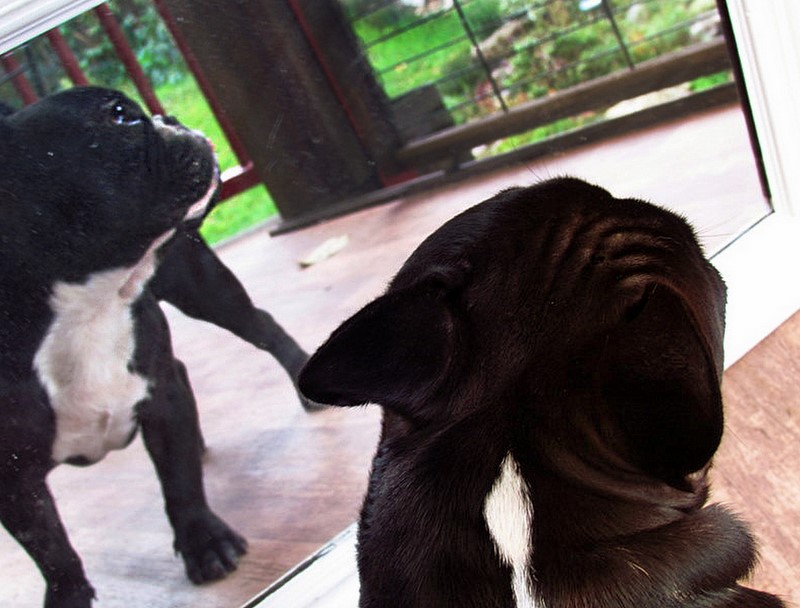 Spieglein,Spieglein....