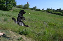 Meine Hündin Lucky