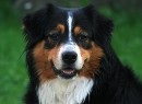 Cassy