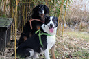 Best Friends...