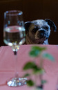 ups..wasser aus dem glas..