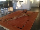 Fotos_Hunde