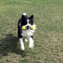 Toben ist sooo cool ...