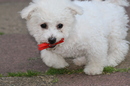 Unsere Frieda
