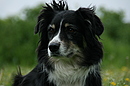 und nochmal SANDY