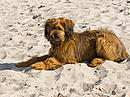 Strandschönheit