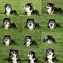 Grimassen-Königin Sandy