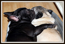 Kuschelstunde