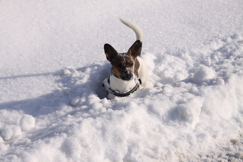 Meine kleine Prinzessin die denn Schnee liebt ;-)