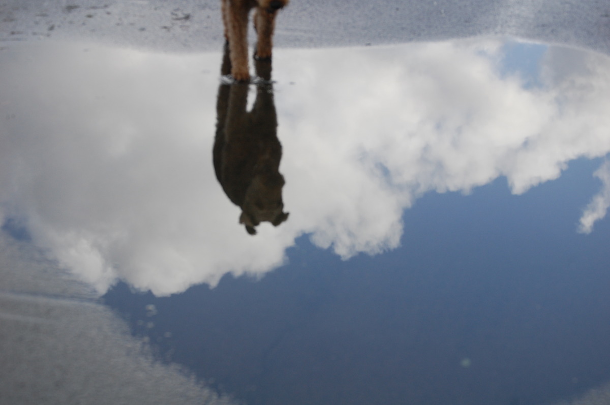 Spiegelbild