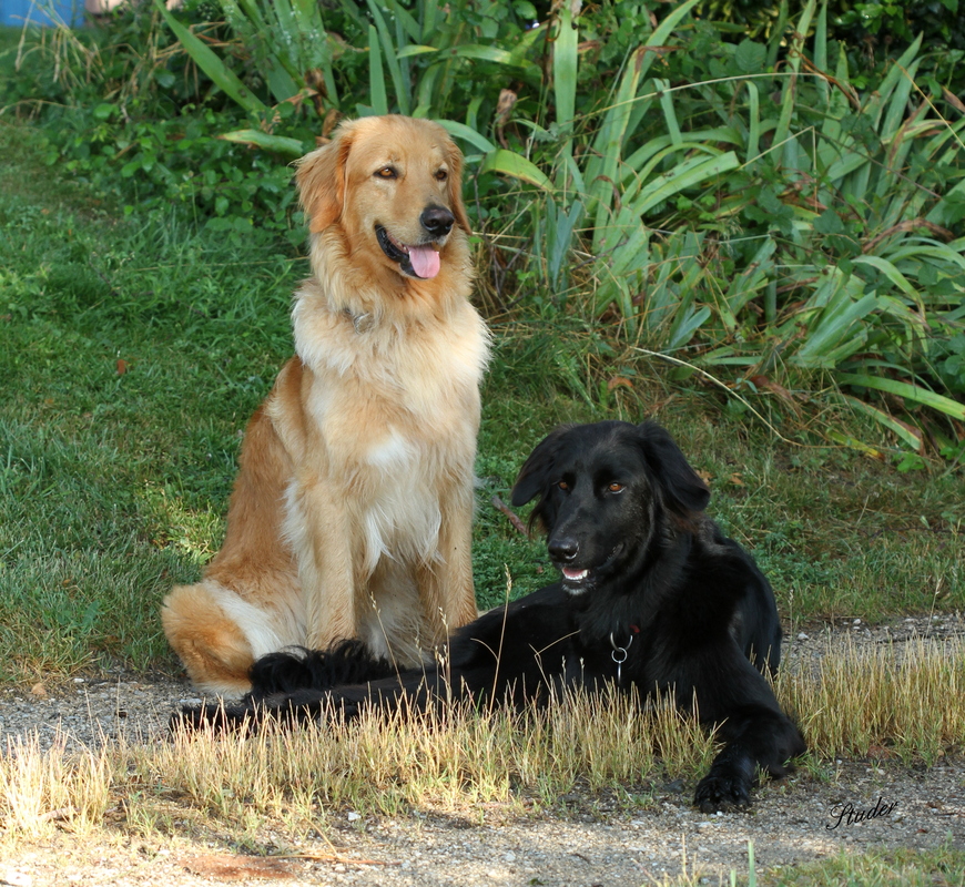 Ayla und Gabo