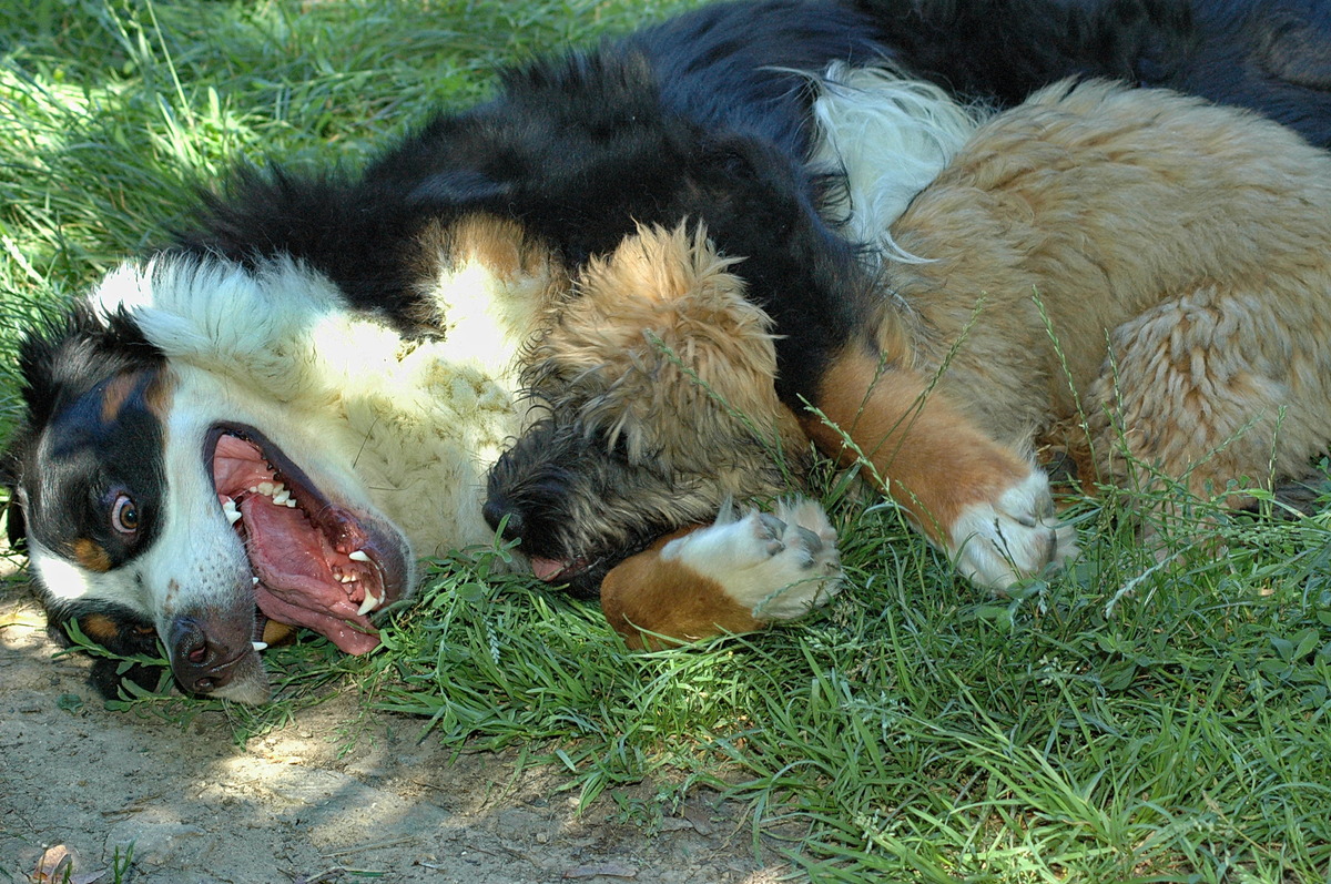 Lass uns Kuscheln...