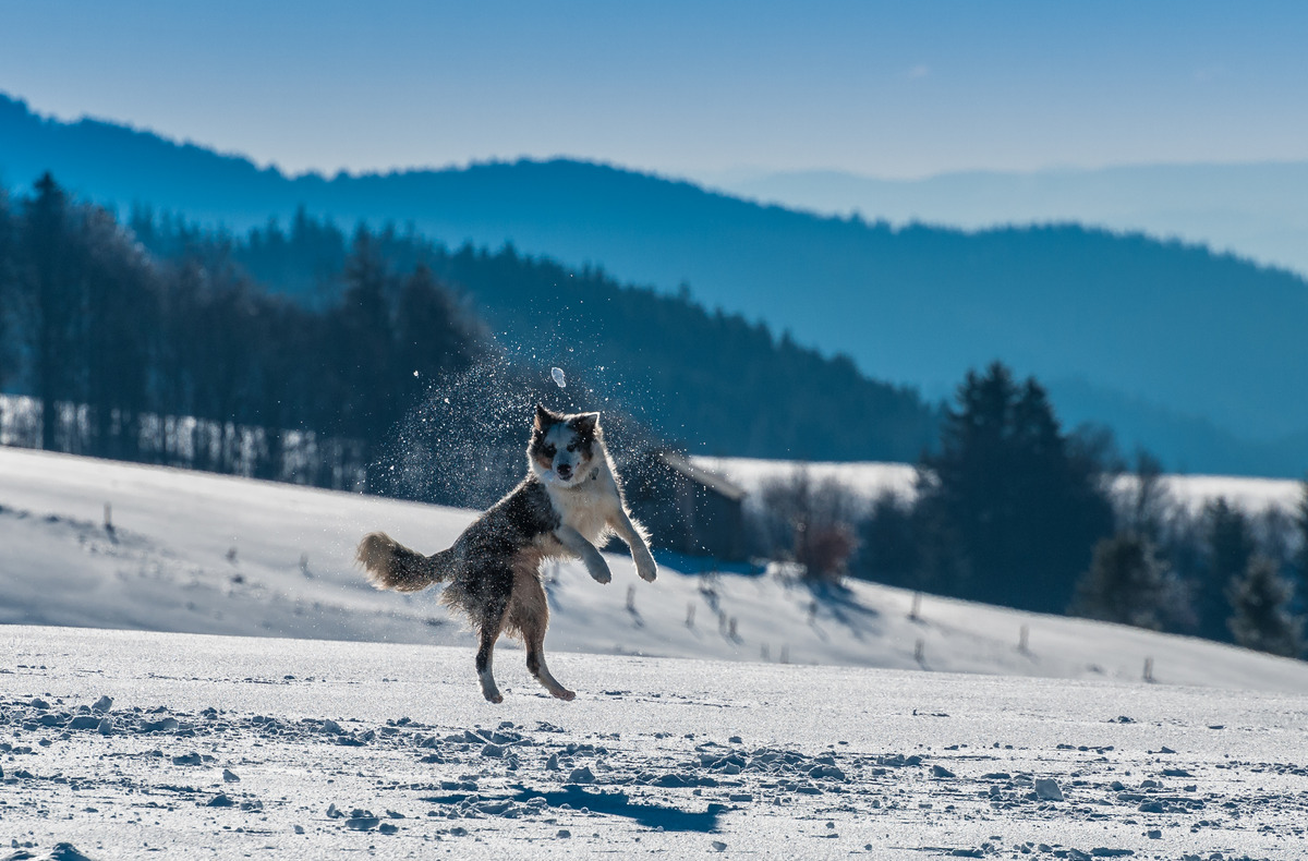 Spass im Schnee