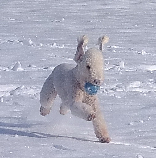 Winterfreude