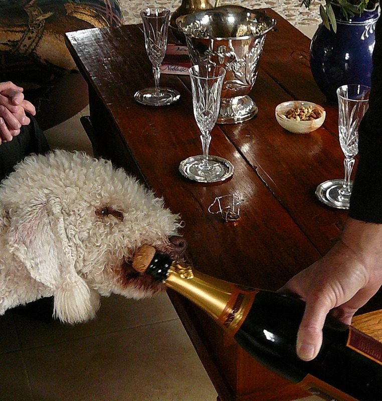 Charlie lebt in Frankreich und liebt Champanger