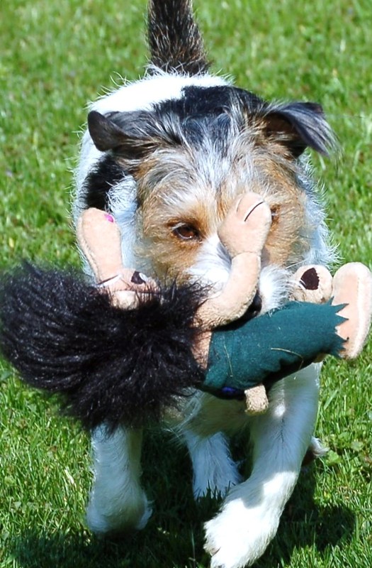 Jimmy mit Troll ...