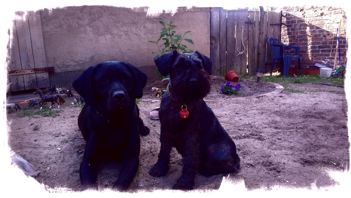 Bijou & Maja