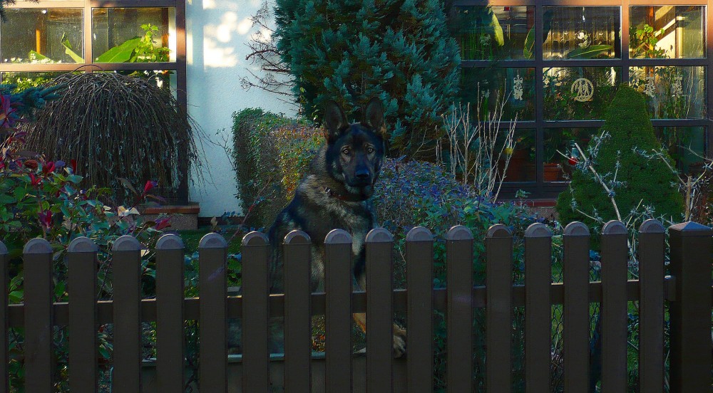 Du bist auch nicht der Weihnachtsmann 2