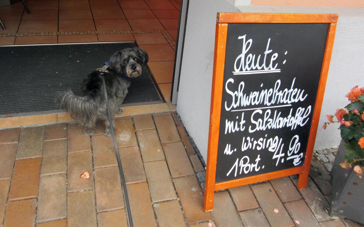 Was ist jetzt? Gehen wir da rein?