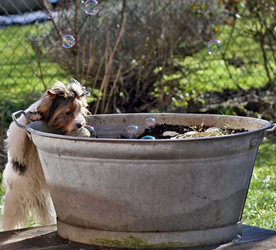 Mika und die Seifenblase