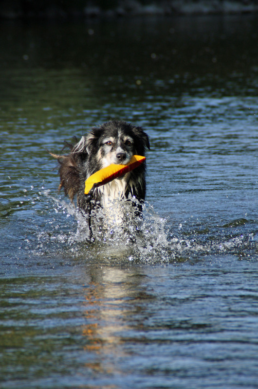 Schnief... Sandy in Bewegung