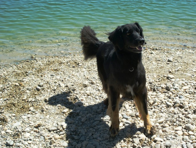 Her mit dem Stöckchen