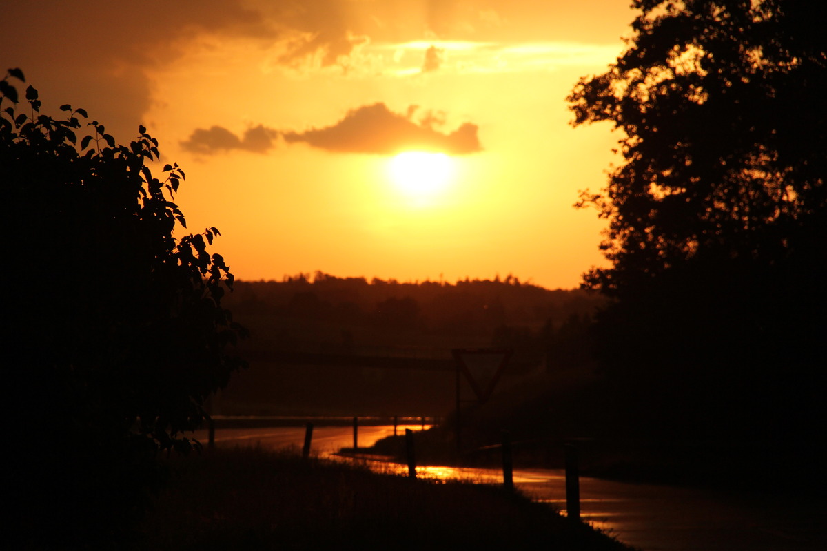 Abend Sonne