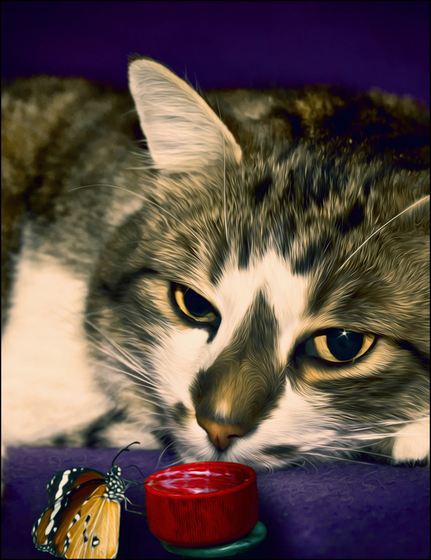 Louis und der Schmetterling