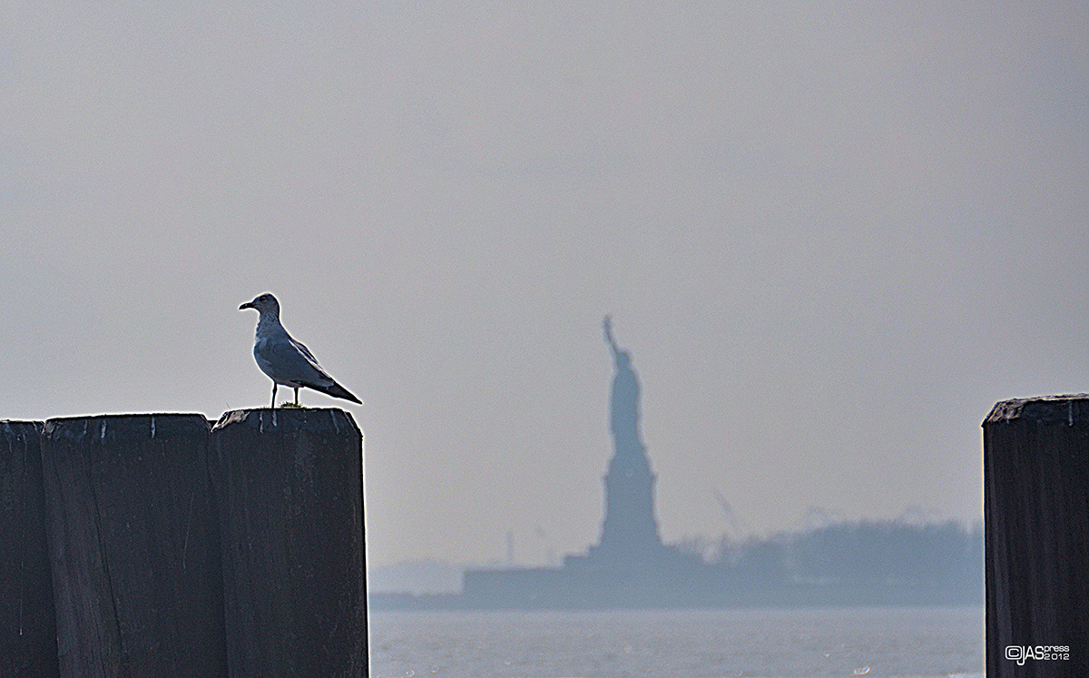 manhattan - 03