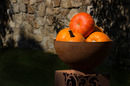 Fotos_Früchte & Beeren
