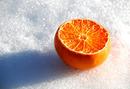 Mandarine im Schnee