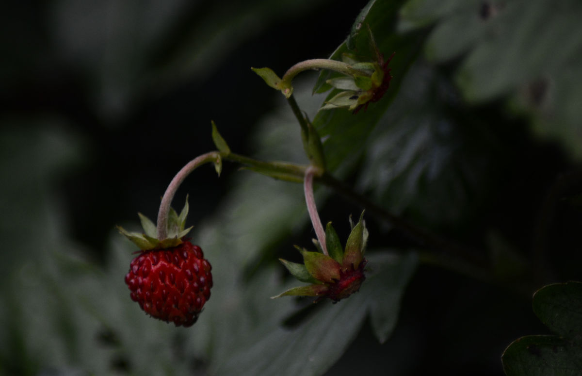 übrig geblieben ...