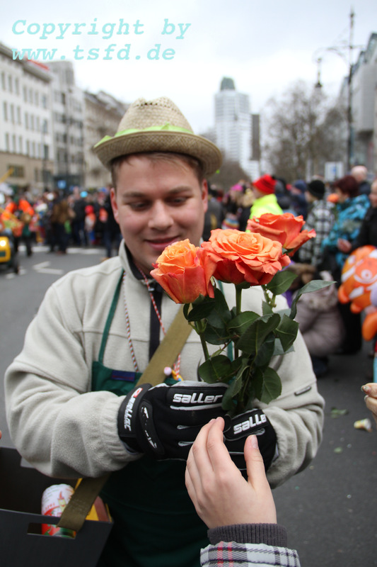 Wolle Rose ?