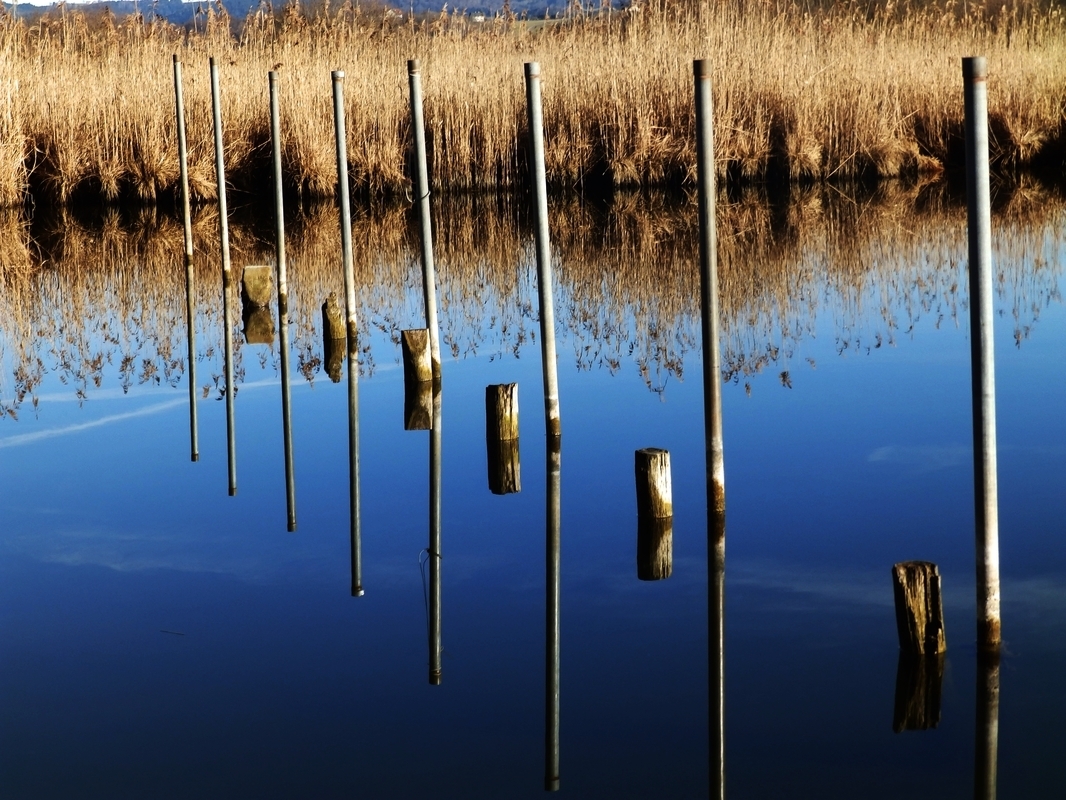 The Mirrow of Nature 