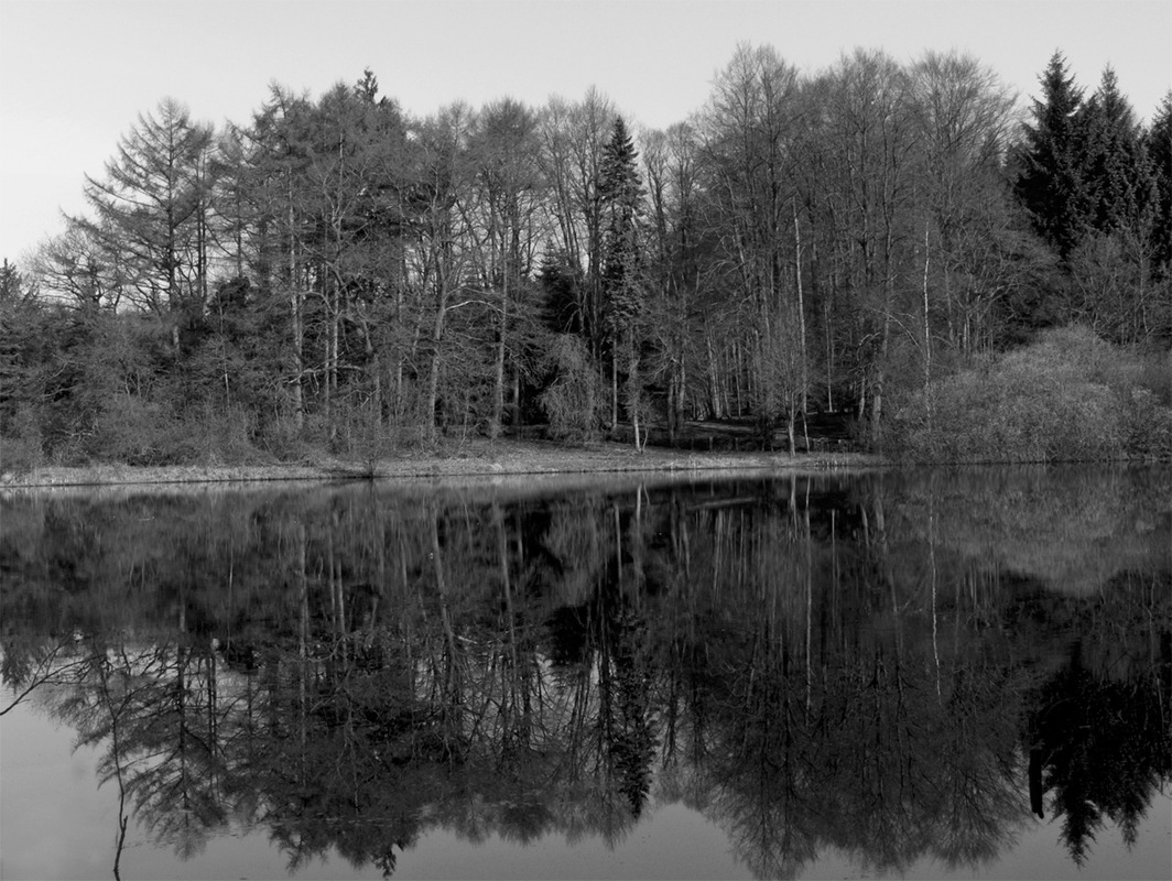 Herbst in SW