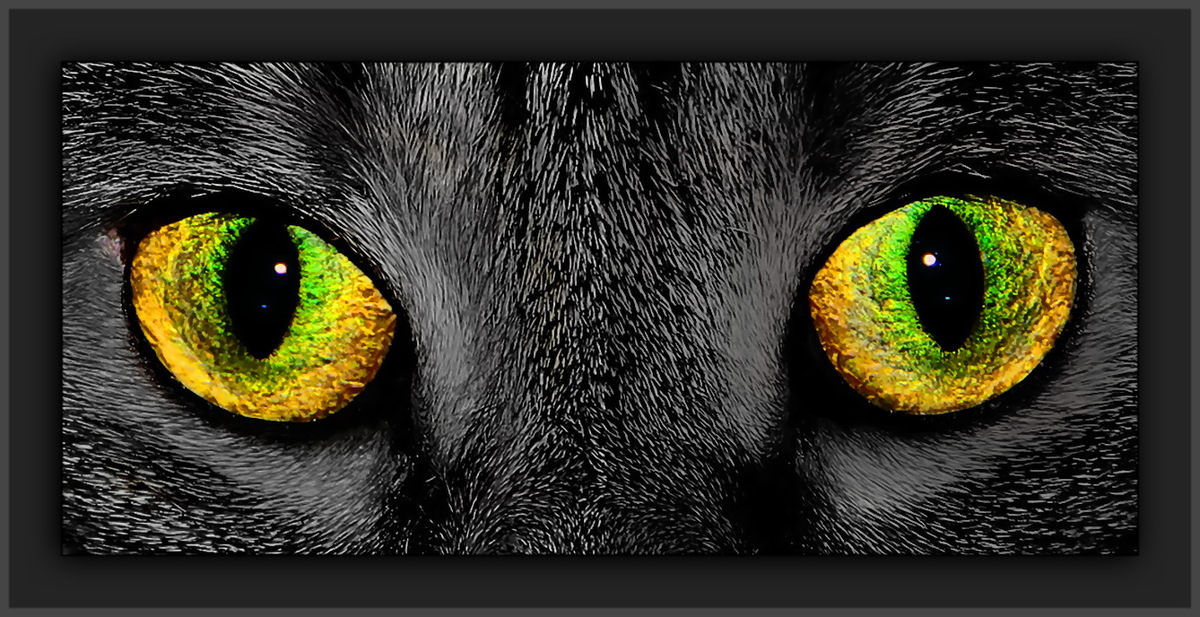 Augen
